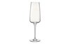 Champagneglas 24 cl Planeo
