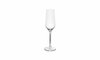 Champagneglas 22 cl Prior