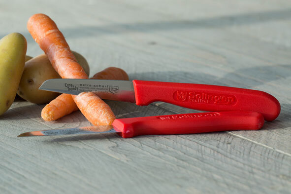 Schilmesje 28cm RVS set van 2