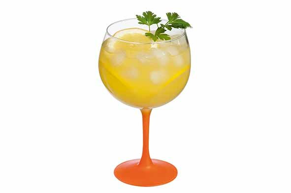Gin Tonic Cocktailglazen set 4-delig Summer Pop