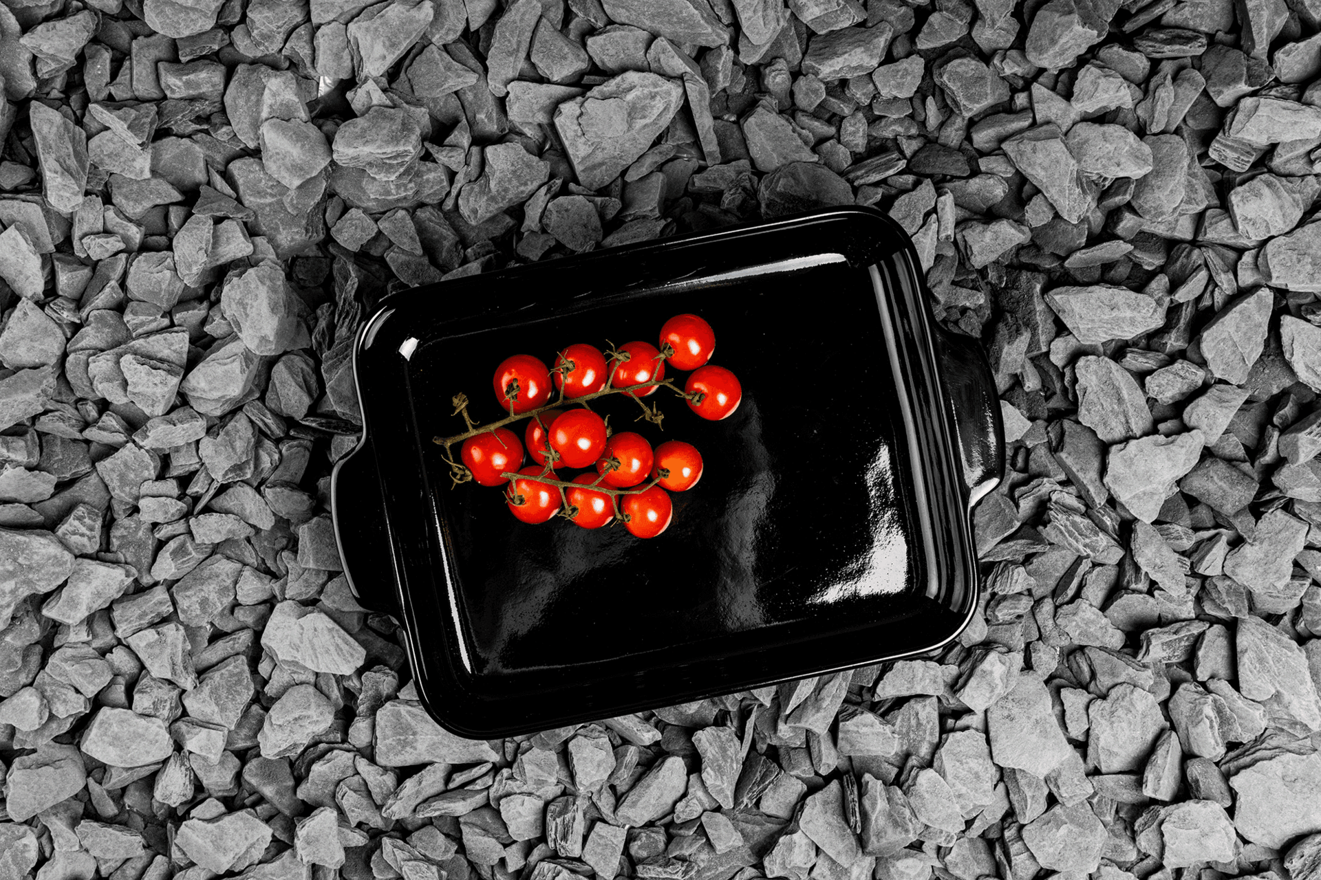 Ovenschotel 24.6 x 16.5 cm Terranova