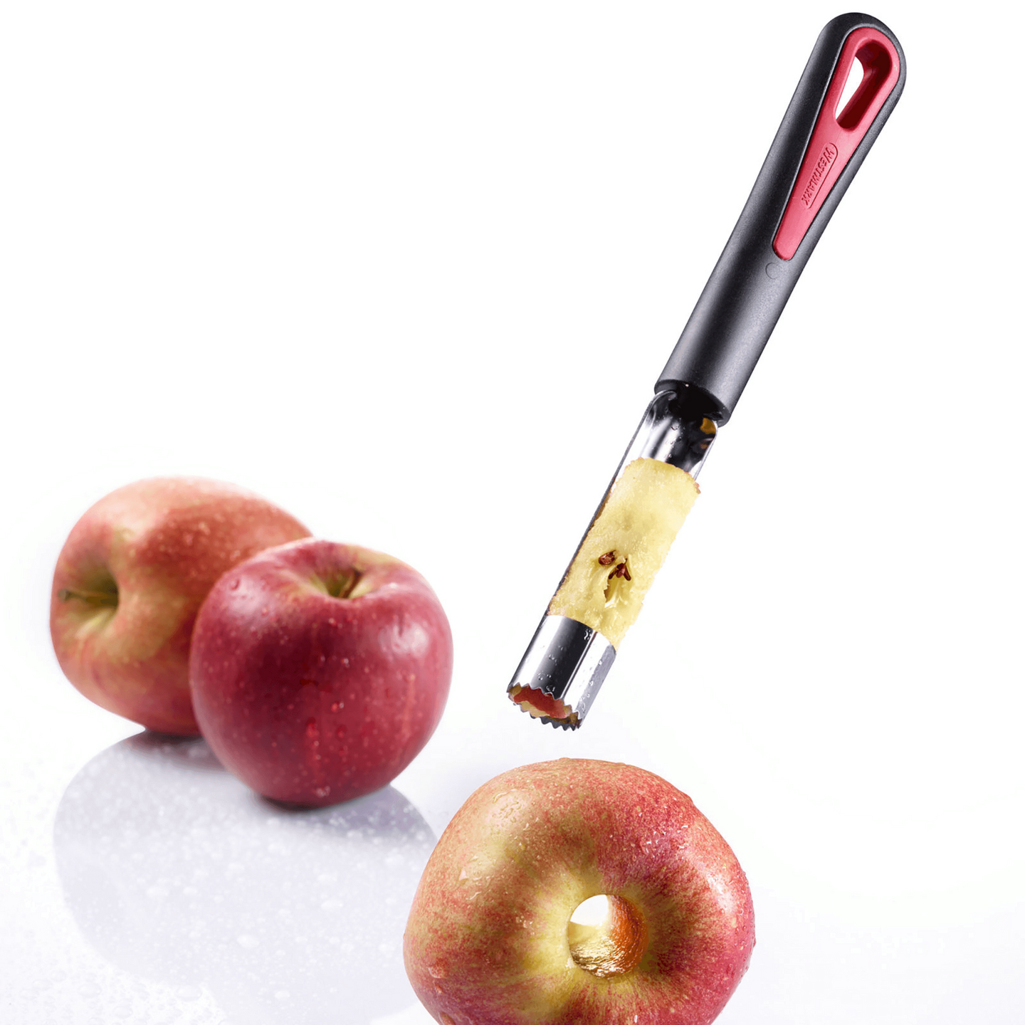 Appelboor RVS Gallant Westmark