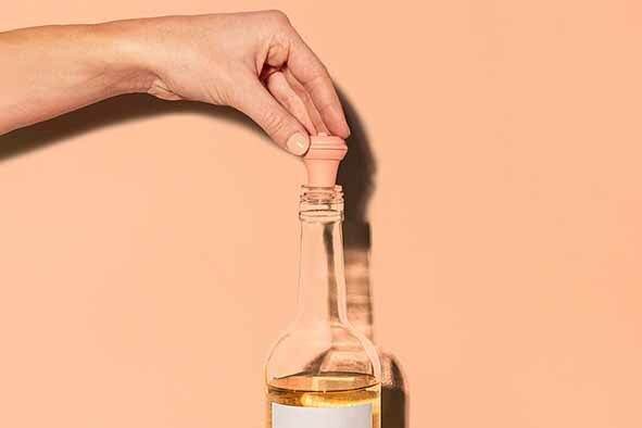 Wine Saver met vacuum flessenstop Vacu Vin Terra