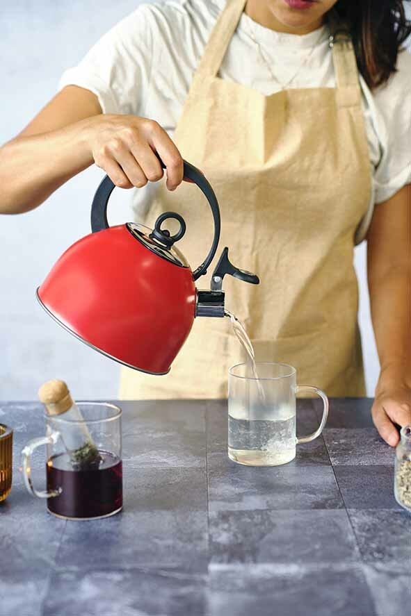 Fluitketel 1,7 L RVS met handvat Rood