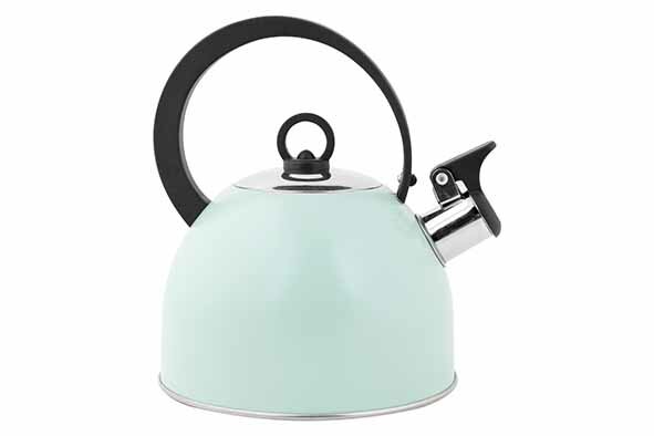 Fluitketel 1,7 L RVS met handvat Groen