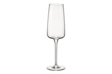 Champagneglas 24 cl Nexo