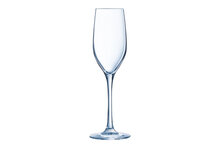 Champagneglas 17 cl Sequence
