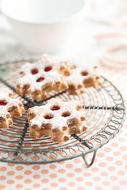 Uitsteekvorm voor 19 Koekjes Sneeuwvlok L&eacute;ku&eacute;