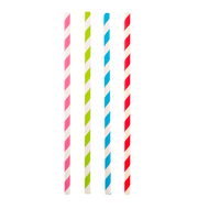 Rietjes Gekleurd Papier set van 48