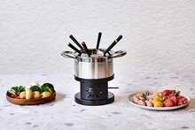Fondueset 17 cm RVS 6 personen