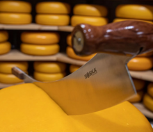 Kaasmes Hollands M hout 