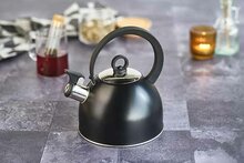 Fluitketel 1,7 L RVS met handvat Zwart