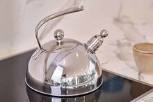 Fluitketel 2,5 L RVS Classic