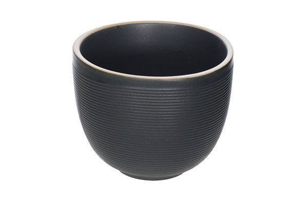Beker zonder oor 20 cl Galloway Black