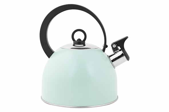 Fluitketel 1,7 L RVS met handvat Groen