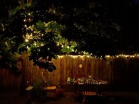 Dinerfeestjes bij jou thuis? Hier wil je aan denken! Dinerfeestjes bij jou thuis? Hier wil je aan denken!
