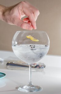 Gin Tonic Facts! Gin Tonic Facts!