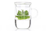 Theeglas met filter 470ml Borosilicate