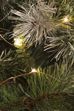 Kerstverlichting 12 meter LED Warm Wit Microlight