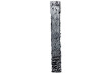 Tafelloper smal zwart bont 200 x 12 cm 