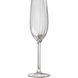 Champagneglas 21 cl Adora 