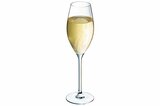 Champagneglas 24 cl Swirly