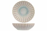 Schaaltje 12 cm Astera Pure
