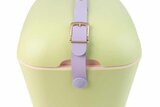 Koelbox Retro Lime Lila 20 Liter