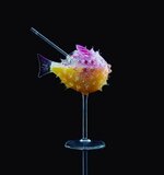 Cocktailglas Fugu 25cl Bar Professiona