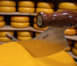 Kaasmes Hollands M hout 