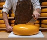 Kaasmes Hollands M hout 