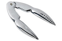 Kreeftentang Cosy & Trendy