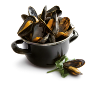 Mosselpan 2 Kg 20 cm