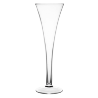 Prosecco champagne glas 22 cl 