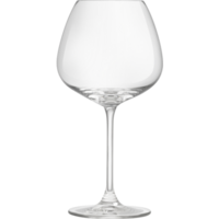 Wijnglas 55 cl Experts Collection