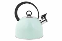 Fluitketel 1,7 L RVS met handvat Groen