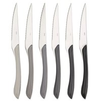 Steakmessen set 6 delig grijstinten Eclat Amefa Steakmessen set 6 delig grijstinten Eclat Amefa