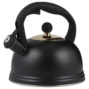Fluitketel Zwart 2L