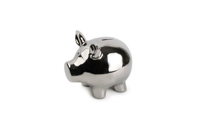 Spaarpot varken Zilver Oink