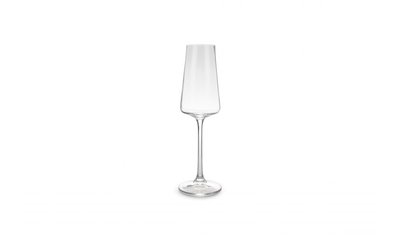 Champagneglas Muze 23cl