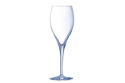 Champagneglas 26 cl Oenologue