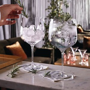 Winkelier bunker Snoep Gin Tonic glazen 76 cl set van 6 | Originele Gin Tonic glazen - Kookwinkel  Kitchen&More